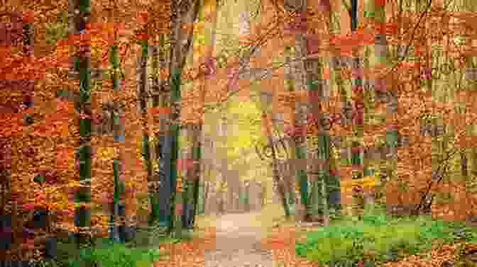 A Colorful Autumn Forest With Vibrant Fall Foliage A Change Of Seasons: Folk Art Quilts And Cozy Home Accessories