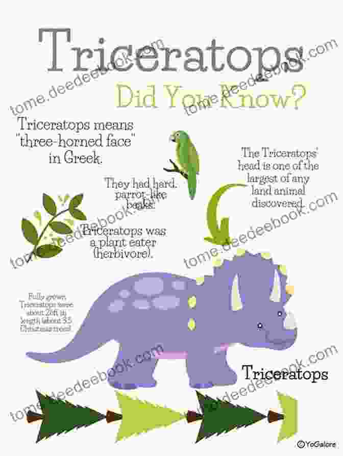 A Dinosaur Fun Fact Card With A Triceratops And The Fact Dinosaur Multiplication Flash Cards Workbook Fun Facts: 2 (Maths Dinosaur Books)