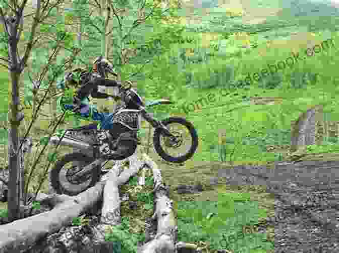 A Dirt Bike Motorcycle On A Trail The Adventures You Ll Have Riding Motorcycles: The World Of Cruisers Sportbikes Dirtbikes Everywhere They Can Take You