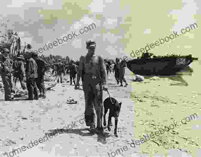 A Group Of Soldiers And Dogs Standing On A Beach In Guam During World War II Soldier Dogs #3: Secret Mission: Guam