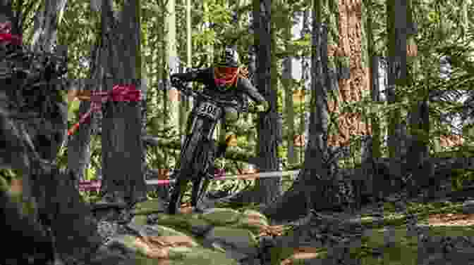 A Human Cyclist And A Bike Bot Racing Through A Forest Bike Bot S Big Race Gordon Campbell