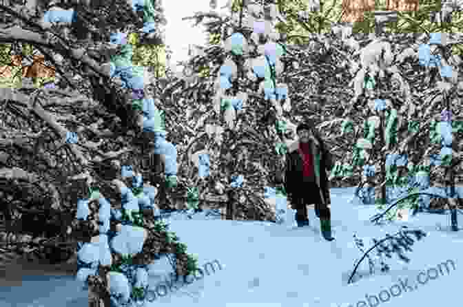 A Man In A Red Jacket And Blue Jeans Stands In The Middle Of A Snow Covered Field. He Looks Lost And Confused. Lost In Canada Allan J Lichtman