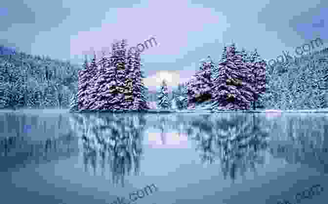 A Serene Winter Landscape With Snow Covered Trees And A Frozen Lake A Change Of Seasons: Folk Art Quilts And Cozy Home Accessories