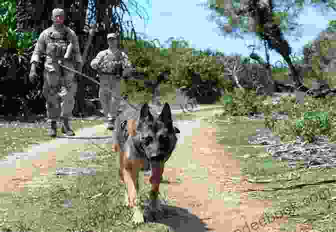 A Soldier And His Dog Training In Guam Soldier Dogs #3: Secret Mission: Guam