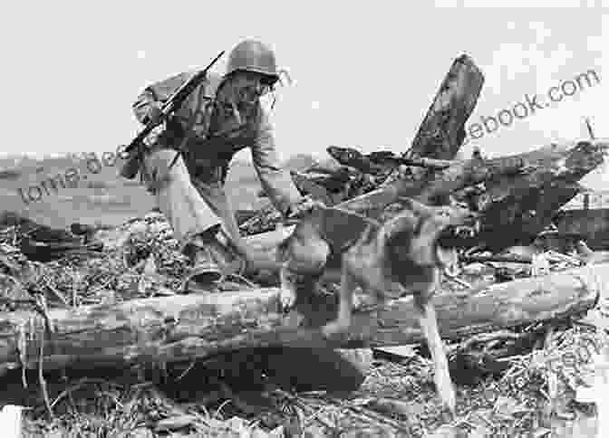 A Soldier And His Dog Visiting A School In Guam After The War Soldier Dogs #3: Secret Mission: Guam