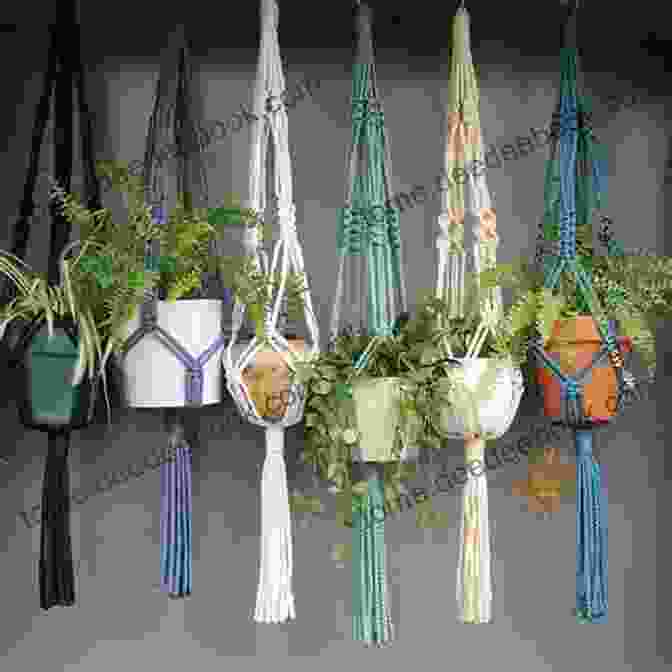 A Stylish And Sustainable Macrame Plant Hanger With Intricate Knots And Patterns That Adds A Bohemian Touch To Any Room Handwoven Table Linens: 27 Fabulous Projects From A Master Weaver