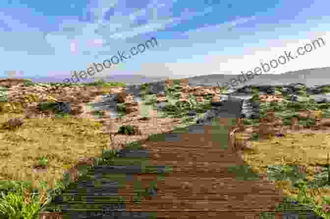 A Winding Trail Leading Through The Dunes And Marsh Grasses On Blackbird Beach Gulf Coast Secrets (Blackbird Beach 2)