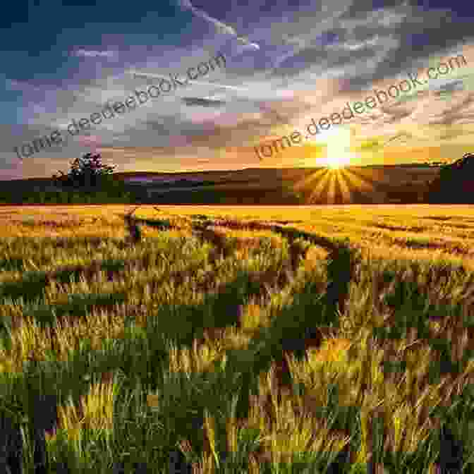 A Young Boy Holding An Iron Giant In A Field, With A Sunrise In The Background The Iron Giant Ted Hughes