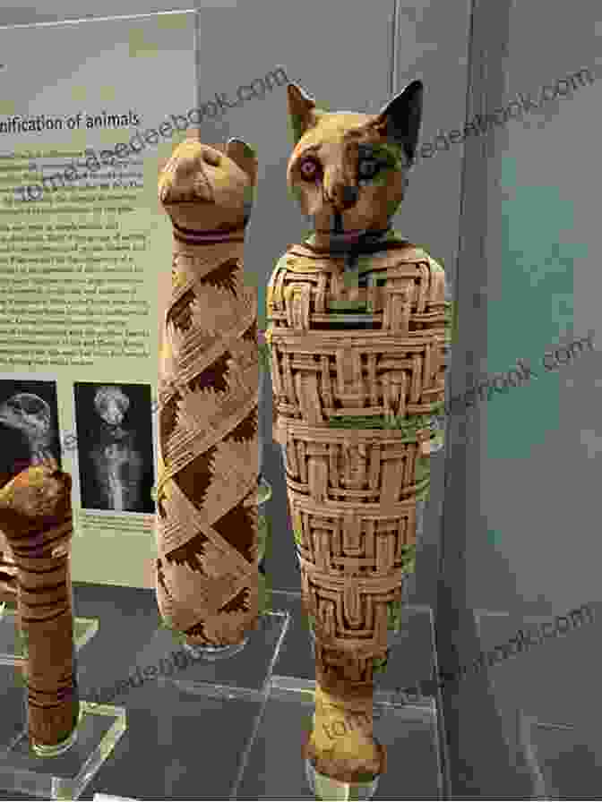 An Ancient Egyptian Cat Mummy, Wrapped In Intricate Linen Bandages Realty About Cats : Amazing Facts About Cats