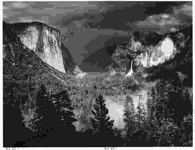 Ansel Adams' Photograph Titled A Resident Of Lake Tahoe S Guide: The Essential Guide To Taking Photographs Of Lake Tahoe: A Particular Photographic Vision