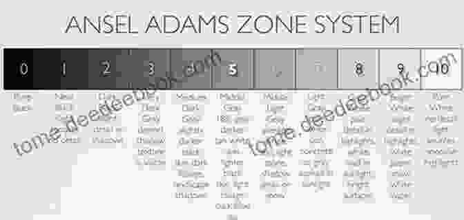 Ansel Adams' Zone System Diagram. A Resident Of Lake Tahoe S Guide: The Essential Guide To Taking Photographs Of Lake Tahoe: A Particular Photographic Vision