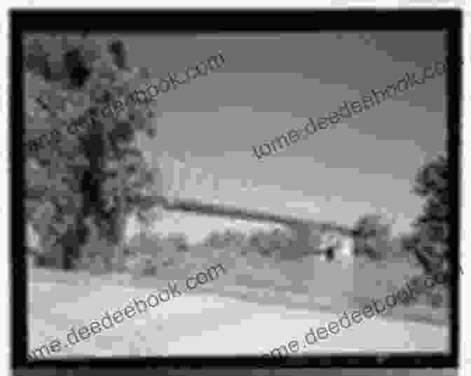 Black And White Photograph Of The Marshall Street Bridge, Spanning The Red River And Connecting Shreveport To Bossier City Remembering Shreveport: A Photo Scrapbook