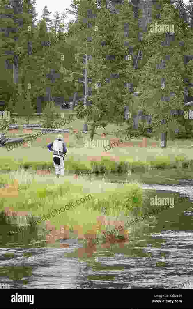 Fisherman Casting A Line Into The Gallatin River, Surrounded By Lush Vegetation And Towering Mountains. Day Hikes Around Bozeman Montana: Including The Gallatin Canyon And Paradise Valley