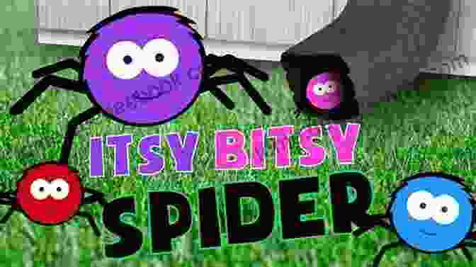 Grey Squirrel Singing Itsy Bitsy Spider Grey Squirrel (Favorite Children S Songs)