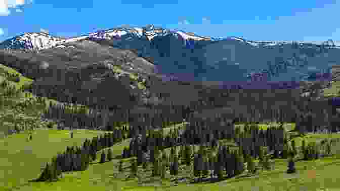 Hiker Traversing A Scenic Trail In The Gallatin Canyon, Surrounded By Towering Trees And Rugged Terrain. Day Hikes Around Bozeman Montana: Including The Gallatin Canyon And Paradise Valley