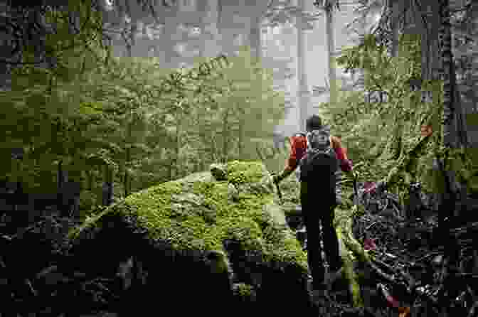 Hikers Lost In A Forest Out Of The Woods: A True Story