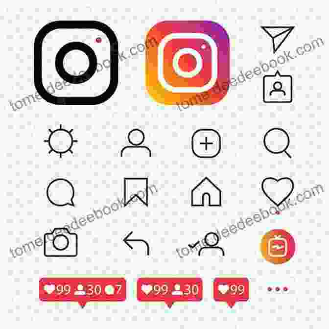 Instagram Icon. Setting Solutions Ian Falloon