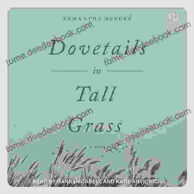 The Cover Of Dovetails In Tall Grass Novel, Featuring A Woman Standing In A Field Of Tall Grass Dovetails In Tall Grass: A Novel