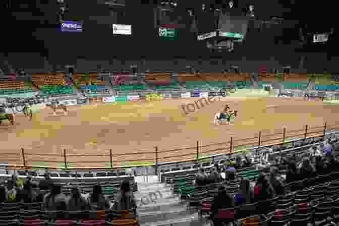 The Denver Coliseum, Home Of The Swede Denver Rebels The Swede (Denver Rebels 2)