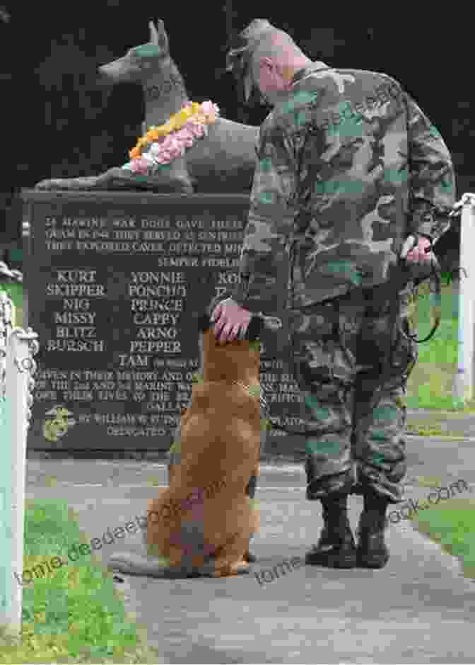 The Memorial Dedicated To The Soldier Dogs In Guam Soldier Dogs #3: Secret Mission: Guam