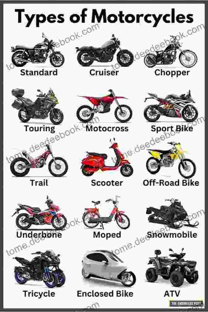 Types Of Motorcycles For Different Purposes Motorcycling Guide: A Must Read For Motorcycling Enthusiasts