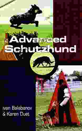 Advanced Schutzhund Ivan Balabanov