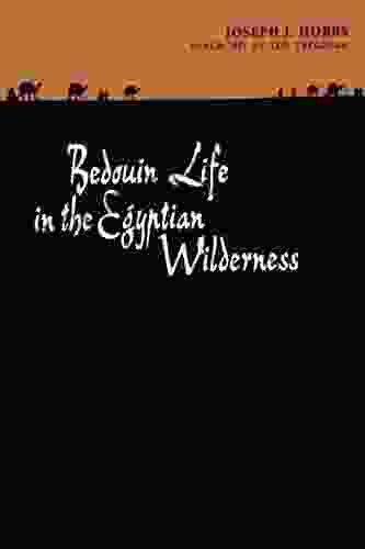 Bedouin Life In The Egyptian Wilderness