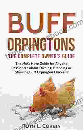 Buff Orpingtons: The Complete Owner S Guide