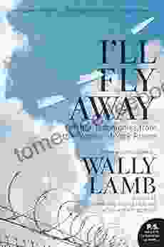 I Ll Fly Away: Further Testimonies From The Women Of York Prison