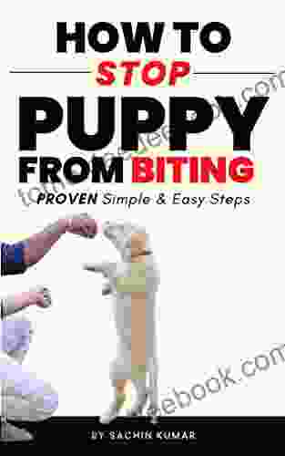 How To Stop A New Puppy From Biting: Proven Simple Easy Steps Tips That Really Work To Stop Your Puppy s Biting Dog Training Ideas