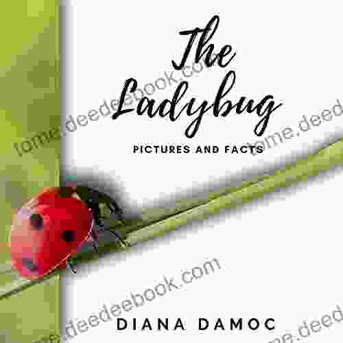 The Ladybug : Stunning real full color pictures of ladybugs and facts (In Love with Ladybugs)